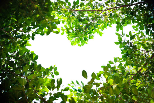 National Charity Statement